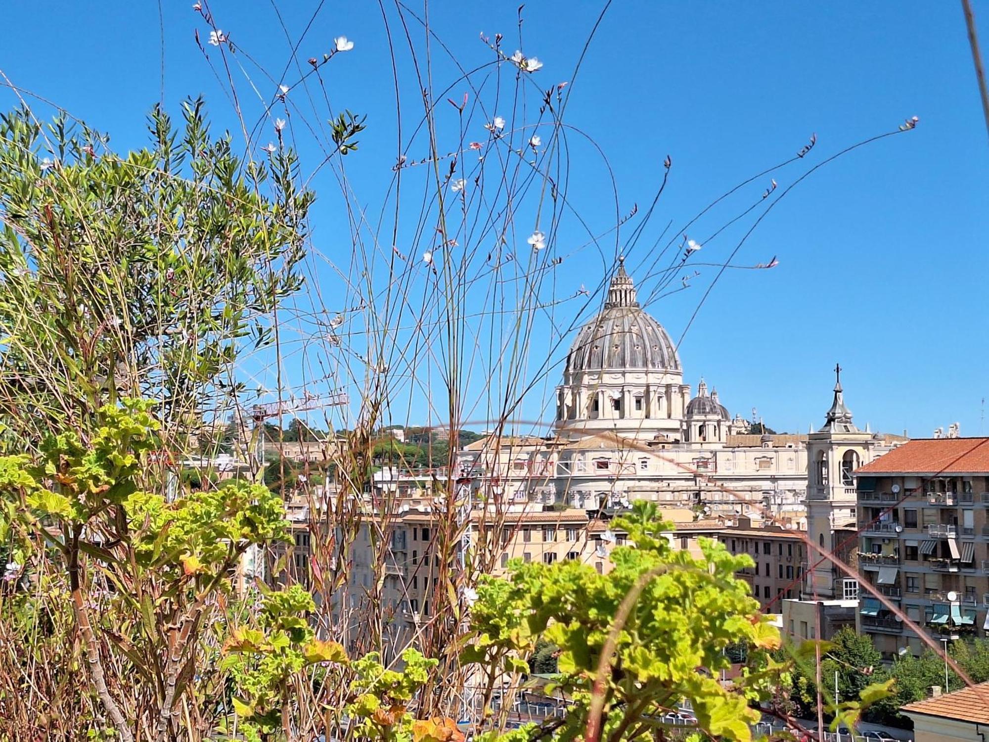 Delmirani'S Book Apartments - Vatican View Roma Ngoại thất bức ảnh